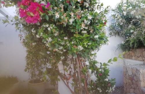 Casa do Jardim - Foto 38