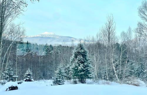 Modern Retreat with Sauna between Stowe and Waterbury - Foto 17