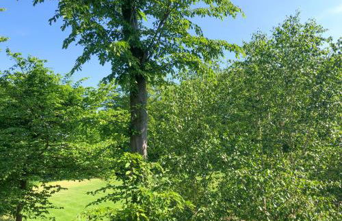 Hertford Barn conversion - Foto 37