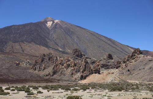 Jungle Paradise - Foto 53