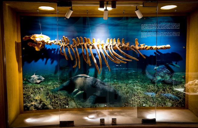 Remarkable 2-bed Apartment in Cairo Nasr City - Foto 40