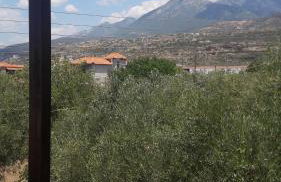 Παραθαλάσσιο Studio - Foto 1