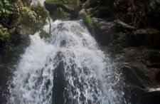 Chalé Lavanda - Espaço Garden Margarida - Foto 34