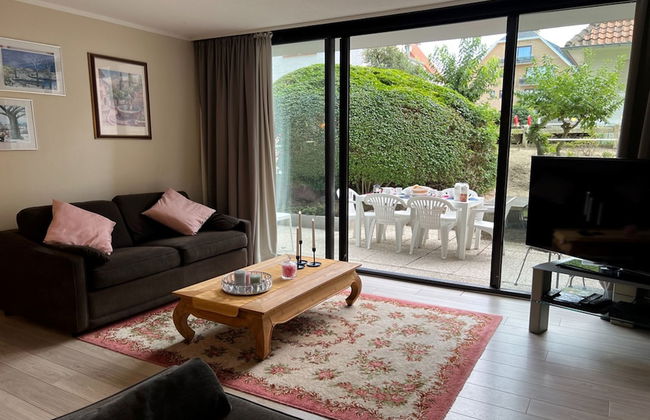 Ster Der Zee On Sea Shore - Foto 8