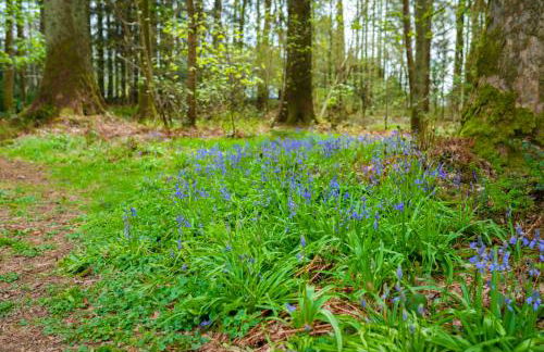 Heatheryhaugh Lodges - Foto 62