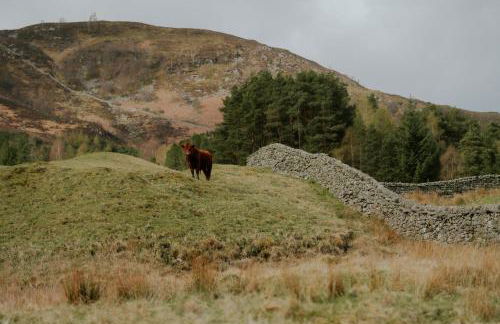 Traditional Highland lodge restored in the spirit of rural living, set in a wild landscape - NATURE ADVENTURE NURTURE - Foto 14