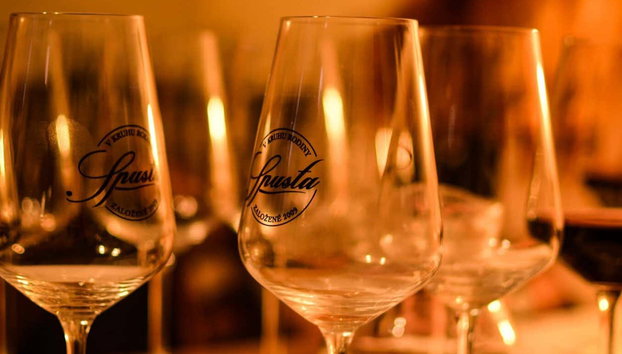 Degustação de vinhos em Bratislava - Foto 2