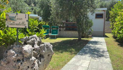 Agriturismo Antichi Ulivi - Foto 4