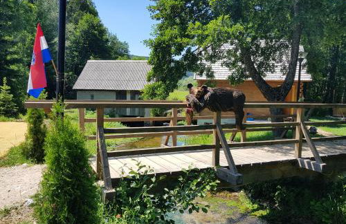 Vodenica Vrelo Chalets - Foto 20