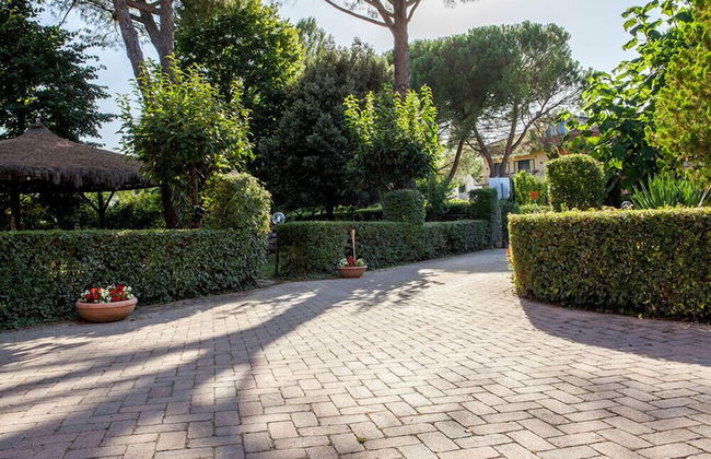 Artisti del Cavallo Tourism - Foto 28