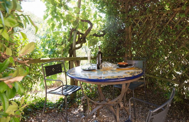 Podere il Poggiolo - Photo 34