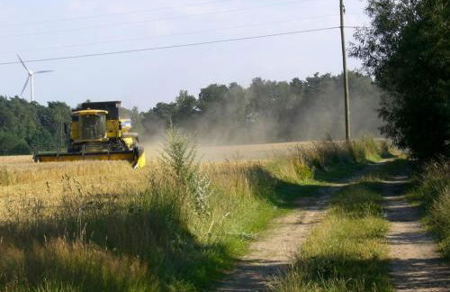 Ferienwohnung Dehnsen - Foto 10