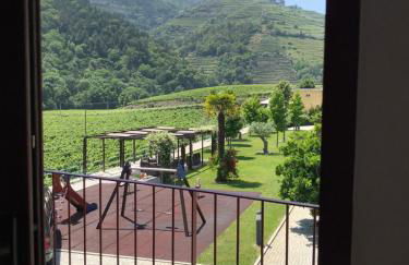 Solar Quinta da Portela - Douro - Photo 26