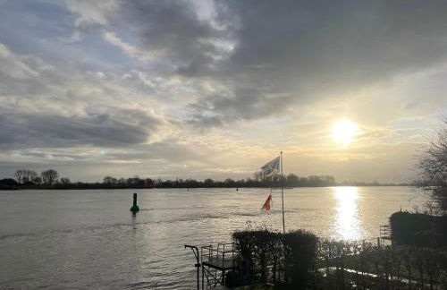 Sonnenschein - Foto 1