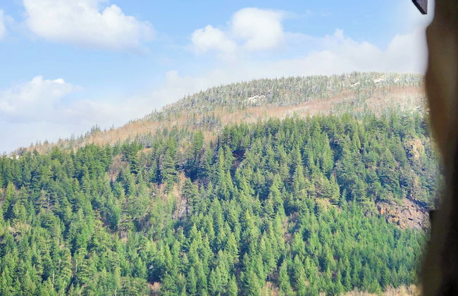 Lakefront Lux 2BR Symphony Of Comfort - Photo 64