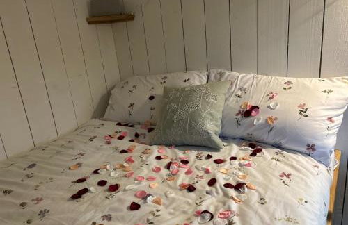 Cosy Devon Hut Woodland Views - Photo 59