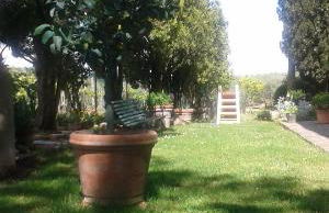 La Vecchia Quercia - Foto 59