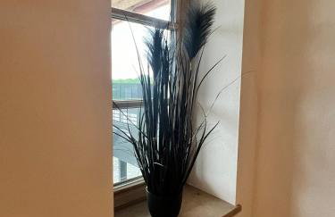 Stay Nice Apartments Dorfen Nähe München Jacuzzi Grillkota 75 Zoll TV - Foto 8