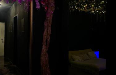 Suite mit Whirlpool, Sauna, Pole Dance und mehr - Foto 17