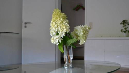 Ferienwohnung Stimmer - Foto 5