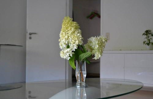 Ferienwohnung Stimmer - Foto 5