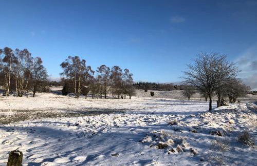 Haus Sonnenschein - Foto 10