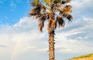 House on the beach - Foto 71