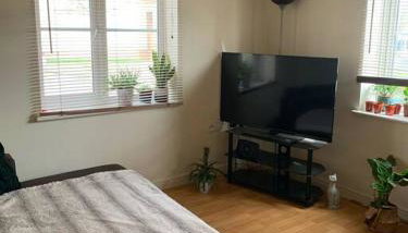 Near Lakeside Shopping Centre - Foto 2