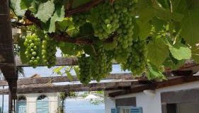 Casa da Madalena do Mar - Foto 3