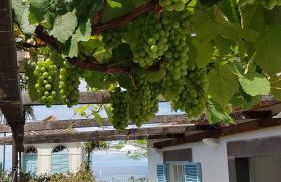 Casa da Madalena do Mar - Foto 3