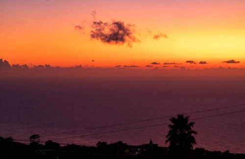 Vilas Felicidade Rocha by An Island Apart - Foto 68