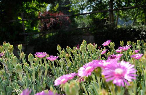 Agriturismo Cupello - Foto 57