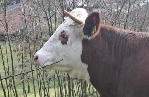 Ferienwohnung bei Tanja und Marcus - Foto 25