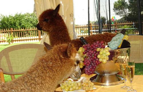 Country House Podere Lacaioli - Foto 58