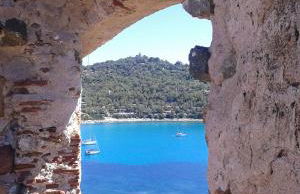 Il sughereto - Foto 10