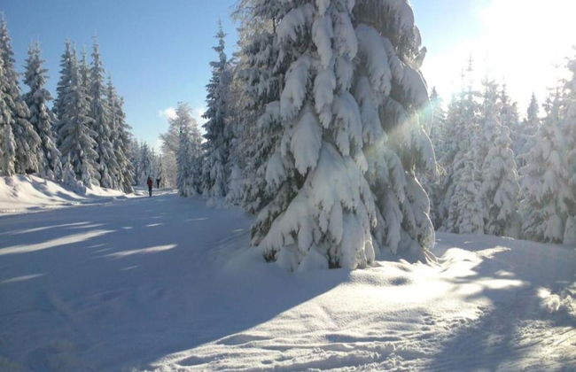 Comfortable Holiday Home With Sauna and Billiards, Near the Slopes - Photo 23