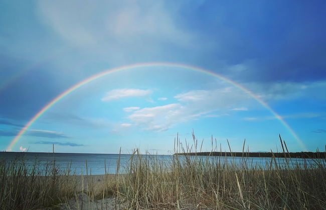 Villa Vitvikena in Gotland, Pool - Foto 36