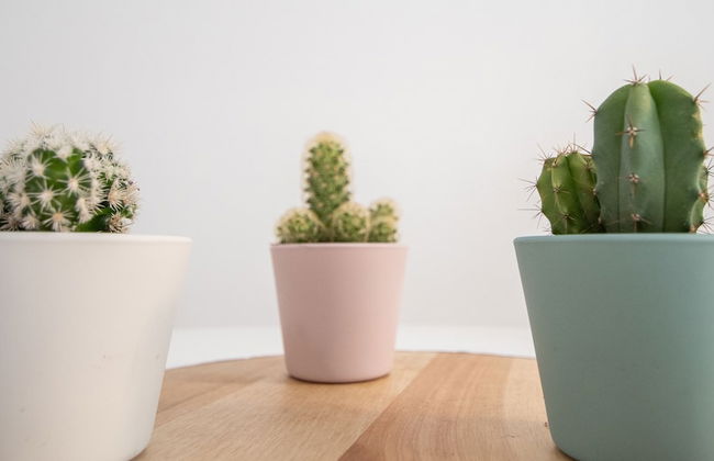 Apartamento La Goleta - Foto 29