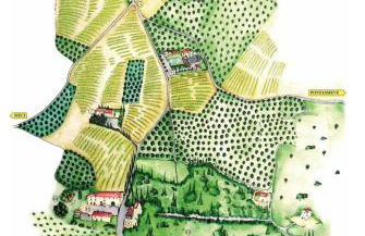 Florence Winery AgriResort - Fattoria Lavacchio - Foto 52