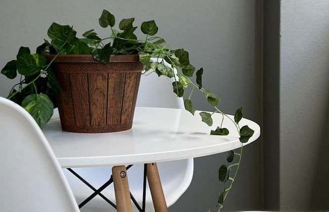 Lovely 2 bed Condo in the Heart of Bryanston - 2076 - Photo 1