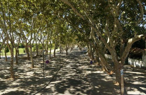 Barquinha Nature House - Foto 15