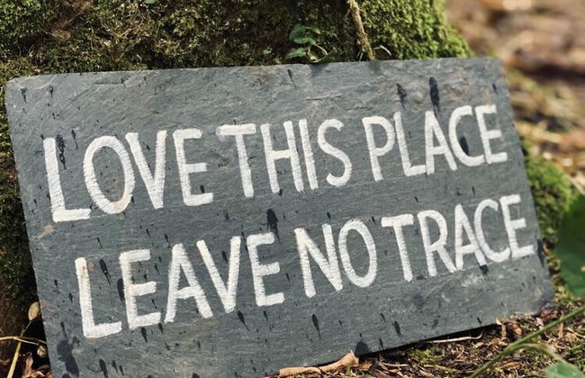 Elm - Bell Tent 2-4 Person Anglesey, North Wales - Photo 21