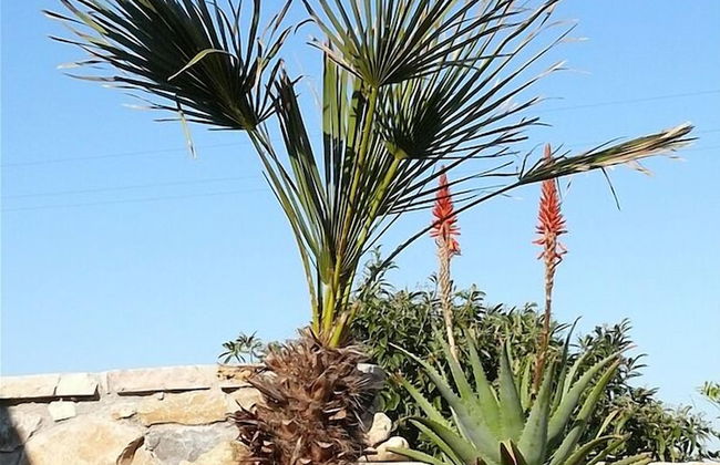 Agriturismo Agave - Photo 21