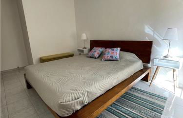 Vida Alentejana - Foto 8