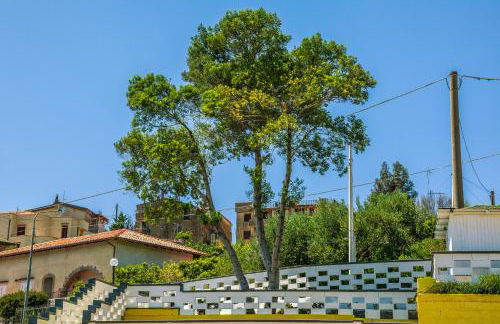 Le Terrazze Palinuro - Foto 13