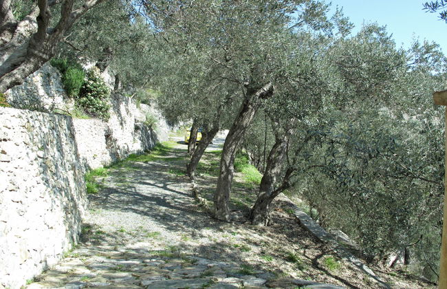 Francesca (VGO210) - Foto 13