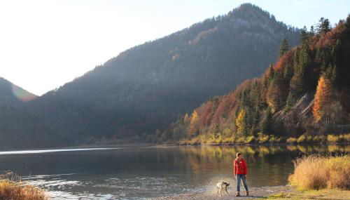 Ferienwohnungen Birmoser inkl. Chiemgaukarte - Foto 2