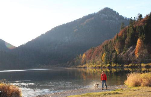 Ferienwohnungen Birmoser inkl. Chiemgaukarte - Foto 2