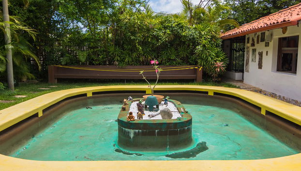 Bahia Culture Tour: Jorge Amado's House + Carybé & Pierre Verger Spaces