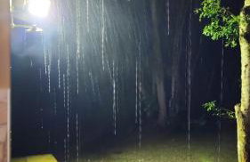 Sítio Wida Feliz - Foto 10